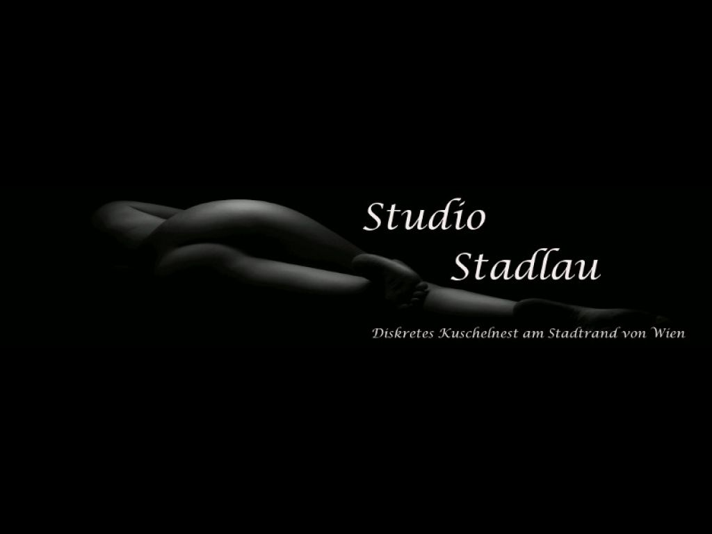 Studio Stadlau in 1220 Wien