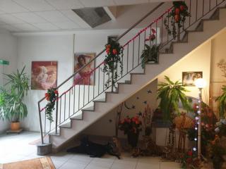 Erotik und Massagestudio 7 in 4020 Linz - Bild 3